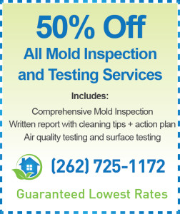 Lake Geneva Mold Inspection Cost