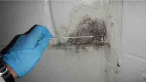Lake Geneva Mold Testing